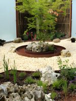 Landscape Design and renovation